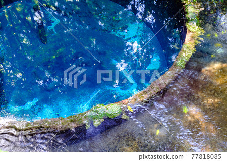 Kakita River Springs (Kakita River Park) 77818085