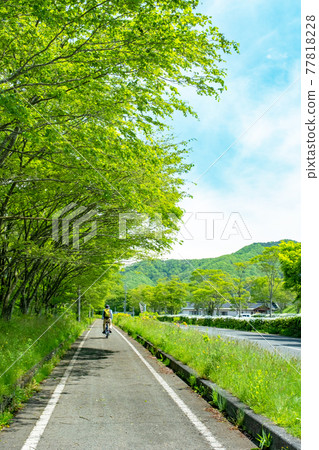 Image of fresh green and early summer cycling (Hiruzen Plateau) Image of fresh green and early summer cycling (Hiruzen Plateau) 77818228