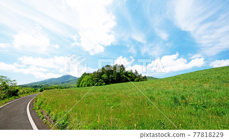 Image of fresh green and early summer cycling (Hiruzen Plateau) 77818229