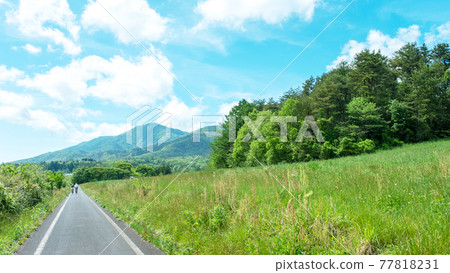 Image of fresh green and early summer cycling (Hiruzen Plateau) 77818231