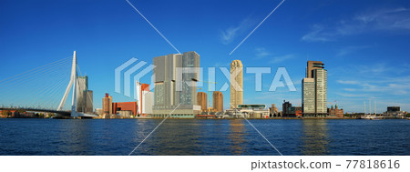 Rotterdam skyscrapers skyline and Erasmusbrug bridge over of Nieuwe Maas river. Rotterdam 77818616