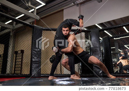 Fit MMA boxers fighters fight in fights without rules in ring octagons 77818673
