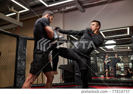 Mixed martial artists training before fight, practice kickboxing, strength and motivation Mixed martial artists training before fight, practice kickboxing, strength and motivation 77818737