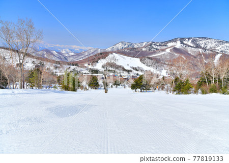 Shiga Kogen Tanne no Mori Okojo Ski Resort (Yamanouchi Town, Nagano Prefecture) [2021.3] 77819133