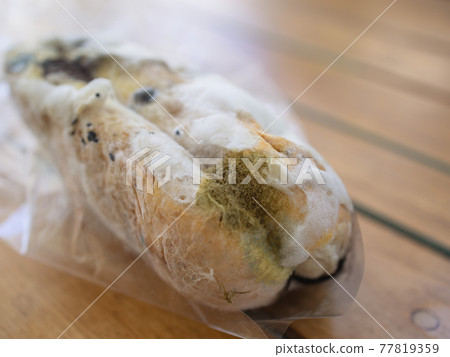 Closeup moldy bun in plastic pack, isolated bread with moldy, fungi texture 77819359