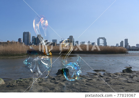 淀川沙洲和玻璃天鵝親子 77819367