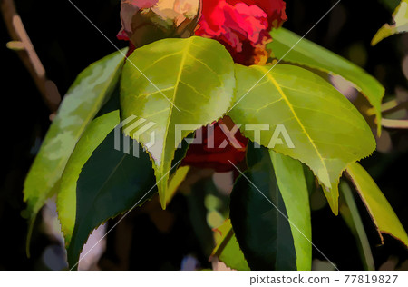 A red flower above rugged edged and sharp, green leaves. 77819827