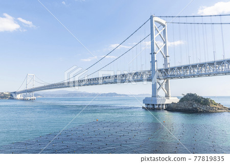 德島縣鳴門市晴天的大鳴門大橋 77819835