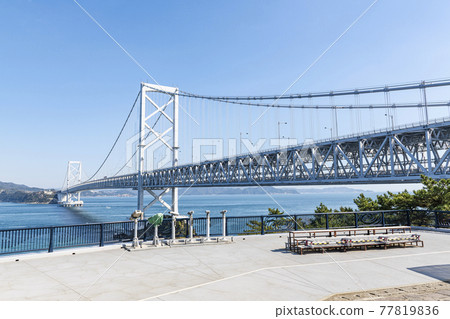 德島縣鳴門市晴天的大鳴門大橋 77819836