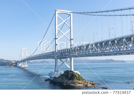 德島縣鳴門市晴天的大鳴門大橋 77819837