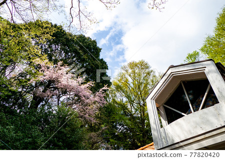 高尾山山站 高尾山山站 77820420