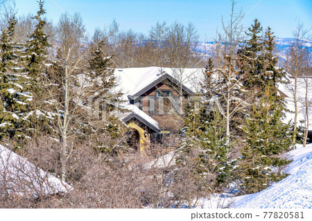 Foggy snowy hill in winter with home nestled amid leafless trees and evergreens 77820581