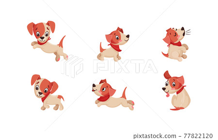 Funny Jack Russell Terrier Character Wriggling Tail, Running and Barking Vector Set Funny Jack Russell Terrier Character Wriggling Tail, Running and Barking Vector Set 77822120
