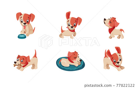Funny Jack Russell Terrier Character Wriggling Tail, Walking and Sleeping Vector Set Funny Jack Russell Terrier Character Wriggling Tail, Walking and Sleeping Vector Set 77822122