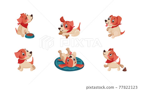 Funny Jack Russell Terrier Character Wriggling Tail, Rolling and Sitting Vector Set Funny Jack Russell Terrier Character Wriggling Tail, Rolling and Sitting Vector Set 77822123
