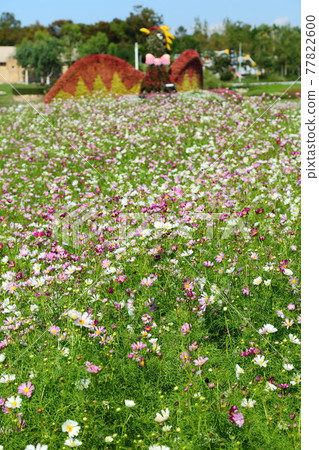 淡路夢舞台宇宙 77822600