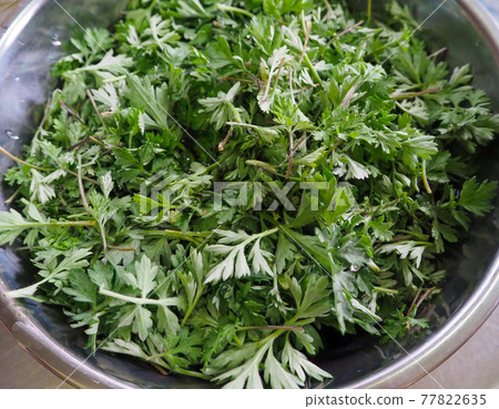 Mugwort washed with water 77822635