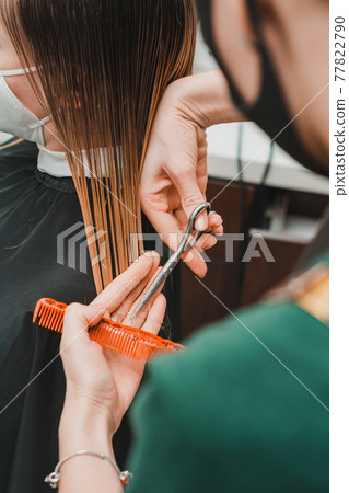 The hairdresser cuts the cut ends of the hair, wet hair in the barbershop, hair care during the quarantine period. 77822790