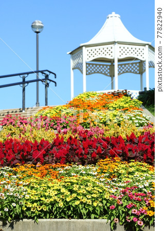 Awaji Yumebutai Flowerbed 77822940