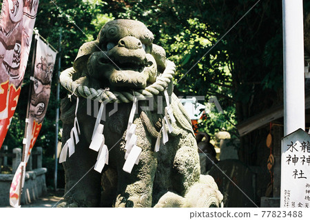 神社的狗 神社的狗 77823488