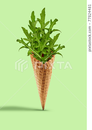 Fresh arugula leaves in a wafer cone against light green background. Healthy nutrition, seasonal vegetables harvest. Close up, copy space Fresh arugula leaves in a wafer cone against light green background. Healthy nutrition, seasonal vegetables harvest. Close up, copy space 77824481