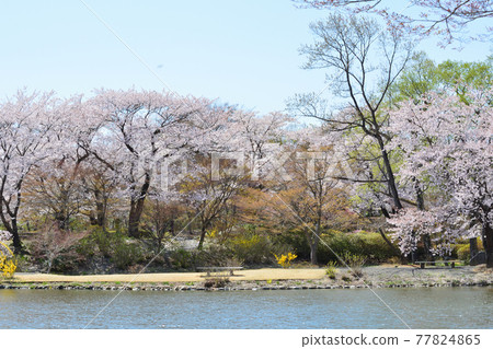 I went to Ryokusuien # 142 I went to Ryokusuien # 142 77824865