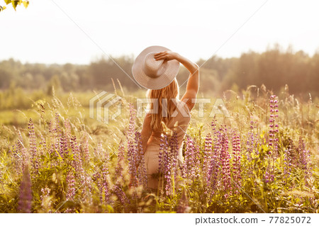 A young girl in a light dress and a hat on a lupine field looks at the sunset. Rear view, space for text A young girl in a light dress and a hat on a lupine field looks at the sunset. Rear view, space for text 77825072