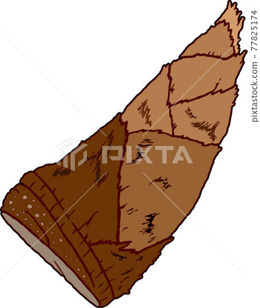 Bamboo shoots 77825174