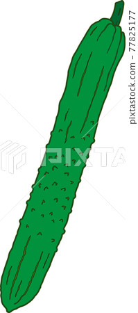 黃瓜 黃瓜 77825177