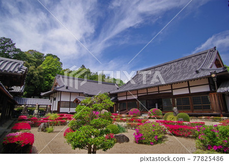 杜鵑花名胜新月院散田藩主久貴家的祠堂 77825486