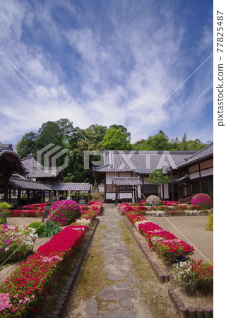 杜鵑花名胜新月院散田藩主久貴家的祠堂 杜鵑花名胜新月院散田藩主久貴家的祠堂 77825487