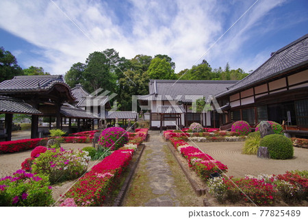 杜鵑花名胜新月院散田藩主久貴家的祠堂 杜鵑花名胜新月院散田藩主久貴家的祠堂 77825489