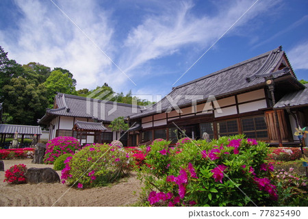 杜鵑花名胜新月院散田藩主久貴家的祠堂 杜鵑花名胜新月院散田藩主久貴家的祠堂 77825490