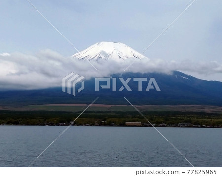 湖面和富士山 77825965