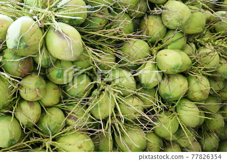 Green Coconut Tropical Fruit Background 77826354