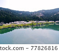 Seen from the sky, "Sakura of Lake Yogo" in Shiga Prefecture 77826816