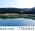 Seen from the sky, "Sakura of Lake Yogo" in Shiga Prefecture 77826818