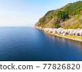 Kaizu Osaki, Shiga Prefecture, seen from the sky "View of cherry blossoms that color the shores of Lake Biwa" 77826820