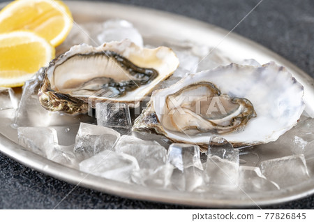 Oysters with fresh lemon 77826845