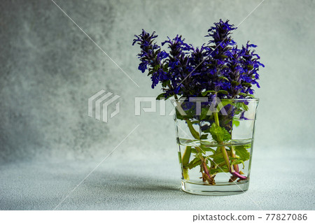 Summer background with blue flowers 77827086