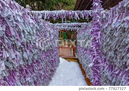 Omikuji fortune papers, Kanazawa, Japan. 77827327