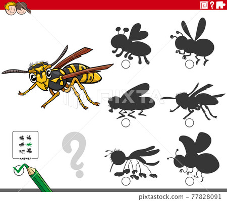 shadows game with cartoon wasp insect character shadows game with cartoon wasp insect character 77828091