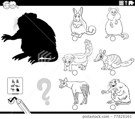 shadows task with cartoon animals coloring book page shadows task with cartoon animals coloring book page 77828161