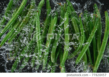 Falling fresh harvested green beans, water splash during impact Falling fresh harvested green beans, water splash during impact 77828457