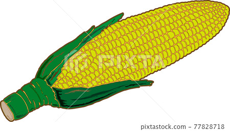 corn corn 77828718
