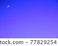 Crescent moon at dusk 77829254