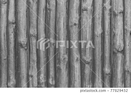 Dark grey painted fence boards texture wooden black timber background Dark grey painted fence boards texture wooden black timber background 77829432