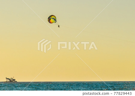 Man and woman tourists are flying on a parachute over the sea against the backdrop of the sunset sky and the horizon. Extreme vacation concept 77829443