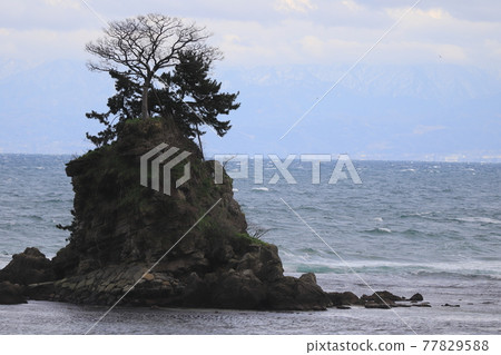 Scenery ・ Onnaiwa on the Amaharashi coast in Toyama prefecture Scenery ・ Onnaiwa on the Amaharashi coast in Toyama prefecture 77829588