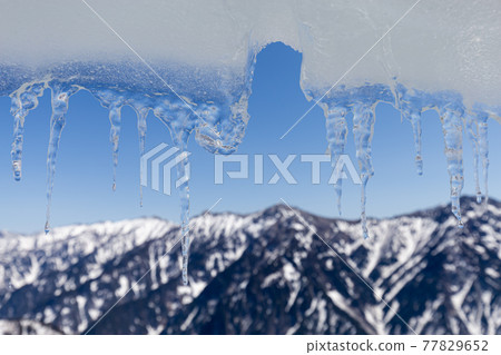 Icicle 77829652